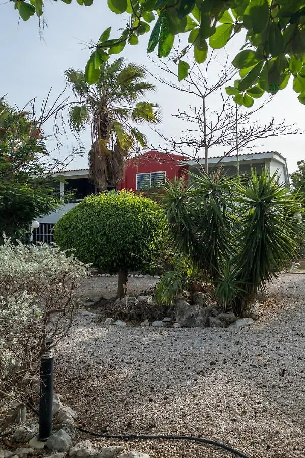 Casa Arte- Exclusive Apartment With Internet And Pool Santa Catharina Curaçao