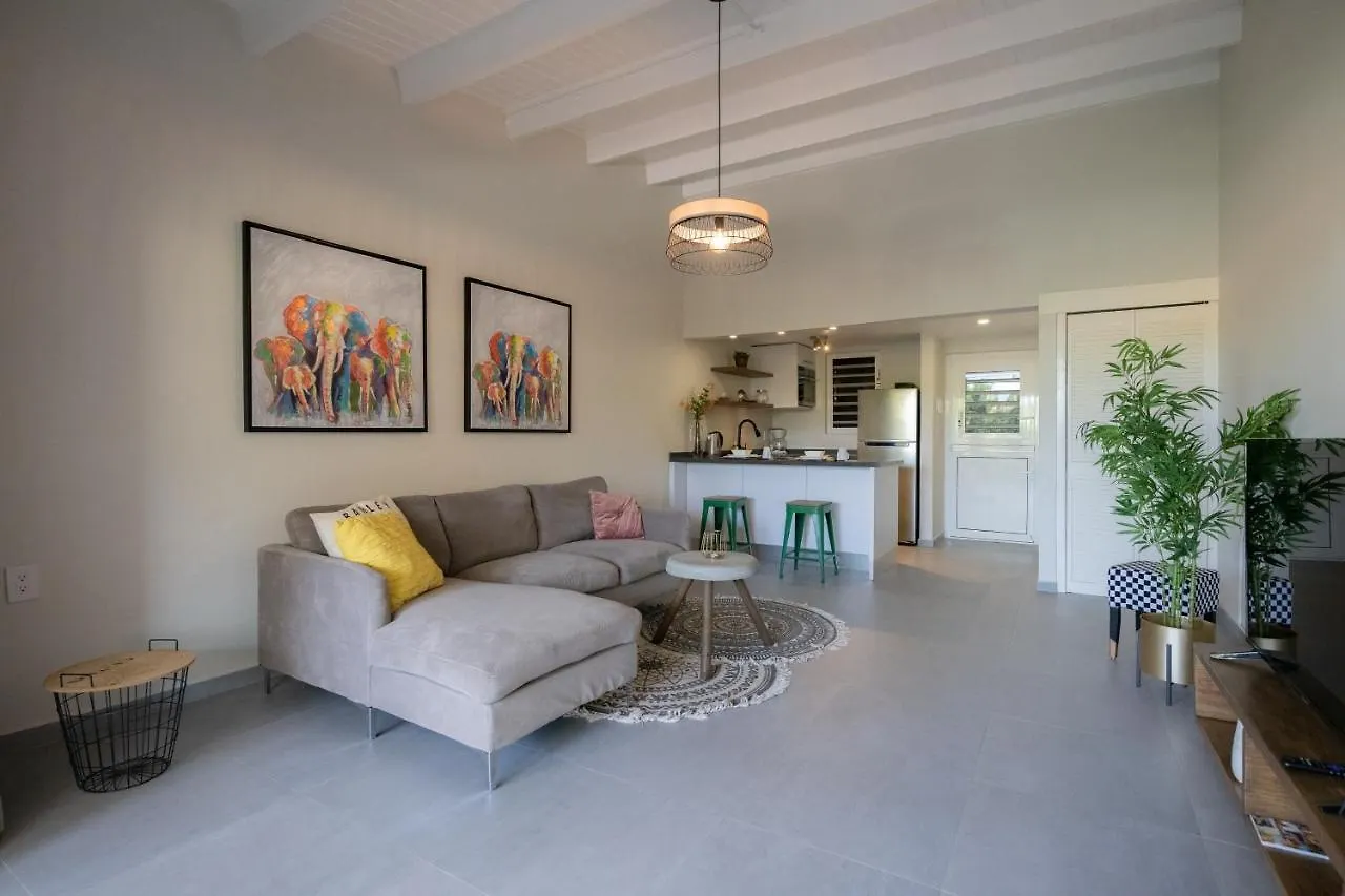 Casa Arte- Exclusive Apartment With Internet And Pool Santa Catharina Curaçao